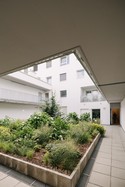 Gemeindewohnungen NEU Berresgasse - Innenhof Begrünung