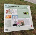 Bild einer Infotafel am Stadtwanderweg 11
