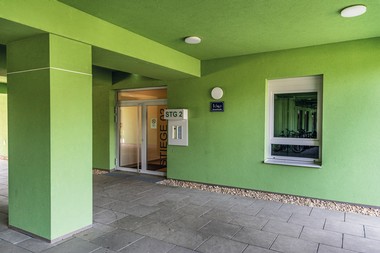 Eingangstür in grüner Fassade