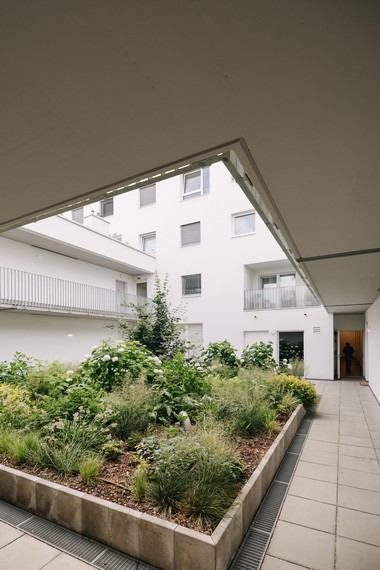 Gemeindewohnungen NEU Berresgasse - Innenhof Begrünung