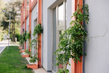 Gemeindewohnungen NEU Hoefftgasse Fassadenbegrünung