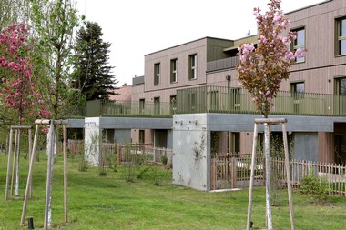 Gemeindewohnungen NEU Wienerfeld West - Freiflächen