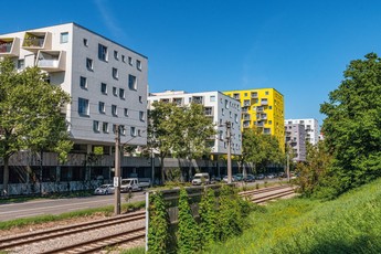 Außenansicht des neuen Gemeindebaus Handelskai 214 A - Karlheinz-Hora-Hof entlang einer Straße und umgeben von mehreren Bäumen und Wiesenflächen.