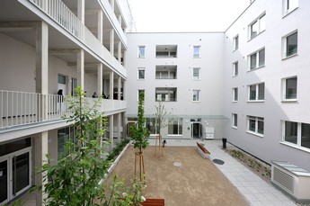 Darstellung des Gemeindebaus in der Apollogasse