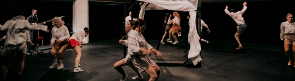 © www.lupispuma.com / Volkstheater