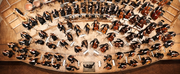 © Stefan Oláh